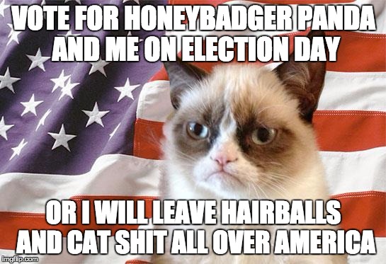 grumpy cat america | VOTE FOR HONEYBADGER PANDA AND ME ON ELECTION DAY; OR I WILL LEAVE HAIRBALLS AND CAT SHIT ALL OVER AMERICA | image tagged in grumpy cat america | made w/ Imgflip meme maker