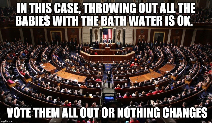 congress2016 | IN THIS CASE, THROWING OUT ALL THE BABIES WITH THE BATH WATER IS OK. VOTE THEM ALL OUT OR NOTHING CHANGES | image tagged in stein2016,jillnothill,2016vote,greenparty2016 | made w/ Imgflip meme maker