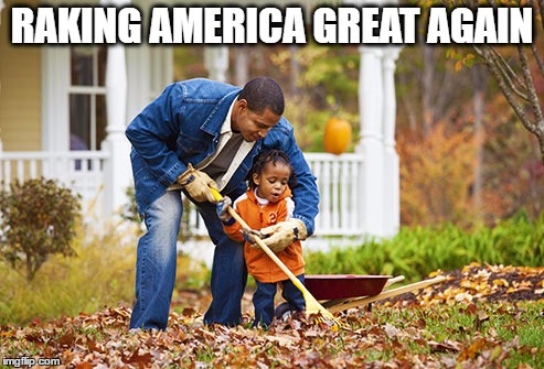 We Can Do It - One Leaf At A Time! | RAKING AMERICA GREAT AGAIN | image tagged in memes,america,donald trump,trump,election 2016,leaf | made w/ Imgflip meme maker