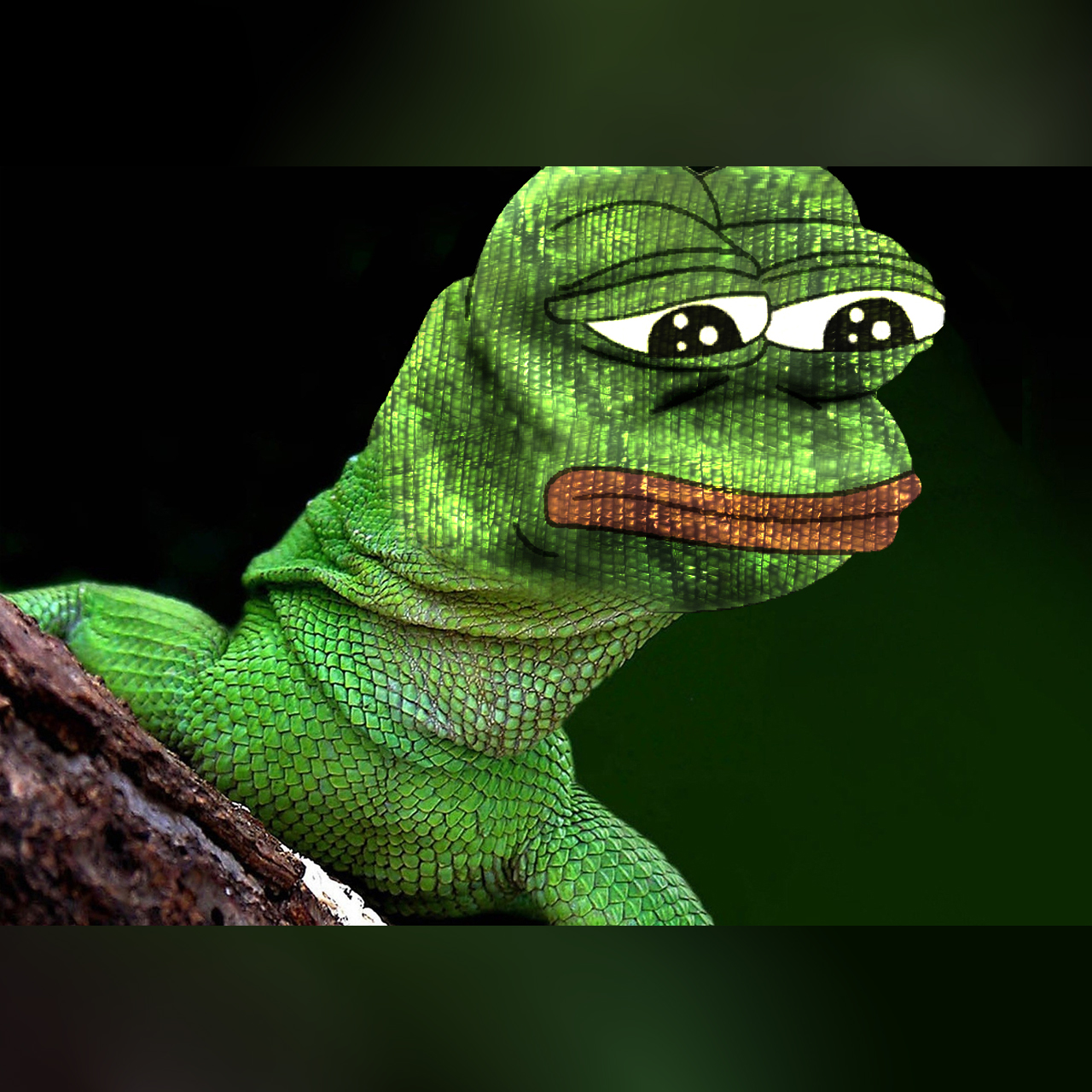 "pepe" Meme Templates - Imgflip