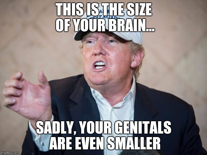 Donald Trump Roast | THIS IS THE SIZE OF YOUR BRAIN... SADLY, YOUR GENITALS ARE EVEN SMALLER | image tagged in brain,roasting | made w/ Imgflip meme maker