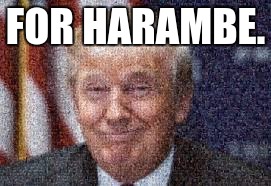 wiener trump | FOR HARAMBE. | image tagged in wiener trump | made w/ Imgflip meme maker