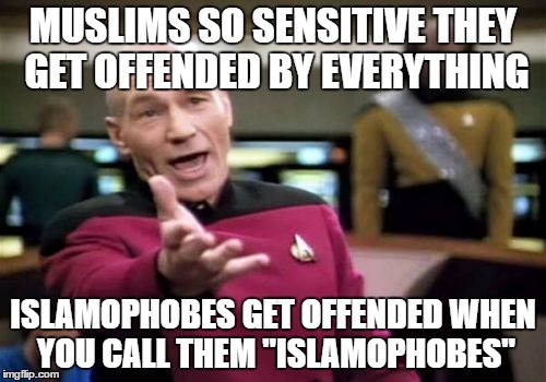 ISLAMOPHOBES: What Pussies | MUSLIMS SO SENSITIVE THEY GET OFFENDED BY EVERYTHING; ISLAMOPHOBES GET OFFENDED WHEN YOU CALL THEM "ISLAMOPHOBES" | image tagged in memes,picard wtf,islamophobia,muslims,islam,offended | made w/ Imgflip meme maker