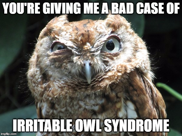 YOU'RE GIVING ME A BAD CASE OF; IRRITABLE OWL SYNDROME | image tagged in ornery owl,memes | made w/ Imgflip meme maker