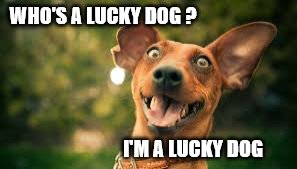 WHO'S A LUCKY DOG ? I'M A LUCKY DOG | made w/ Imgflip meme maker
