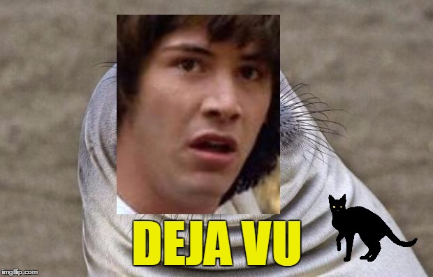 Awkward Moment Sealion Meme | DEJA VU | image tagged in memes,awkward moment sealion | made w/ Imgflip meme maker