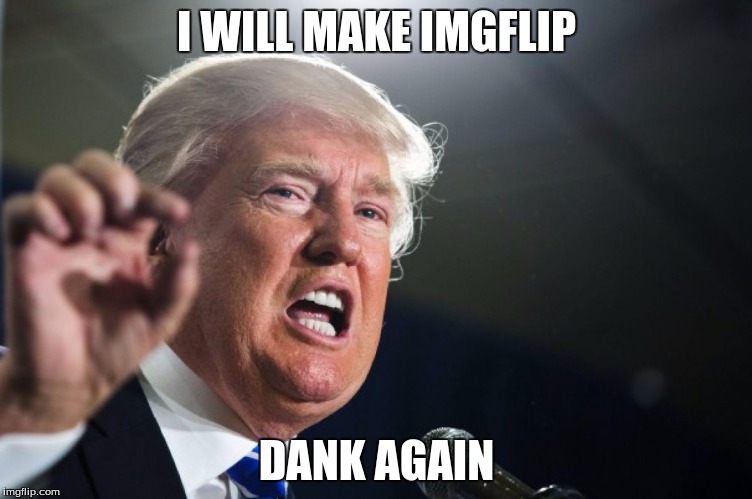 donald trump | I WILL MAKE IMGFLIP; DANK AGAIN | image tagged in donald trump | made w/ Imgflip meme maker
