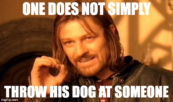 One Does Not Simply Meme | ONE DOES NOT SIMPLY THROW HIS DOG AT SOMEONE | image tagged in memes,one does not simply | made w/ Imgflip meme maker