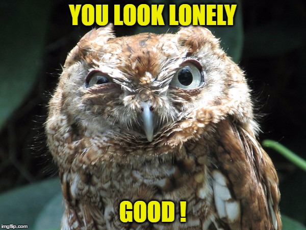 YOU LOOK LONELY GOOD ! | made w/ Imgflip meme maker