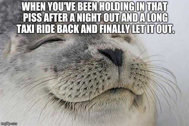 Satisfied Seal | WHEN YOU'VE BEEN HOLDING IN THAT PISS AFTER A NIGHT OUT AND A LONG TAXI RIDE BACK AND FINALLY LET IT OUT. | image tagged in memes,satisfied seal | made w/ Imgflip meme maker