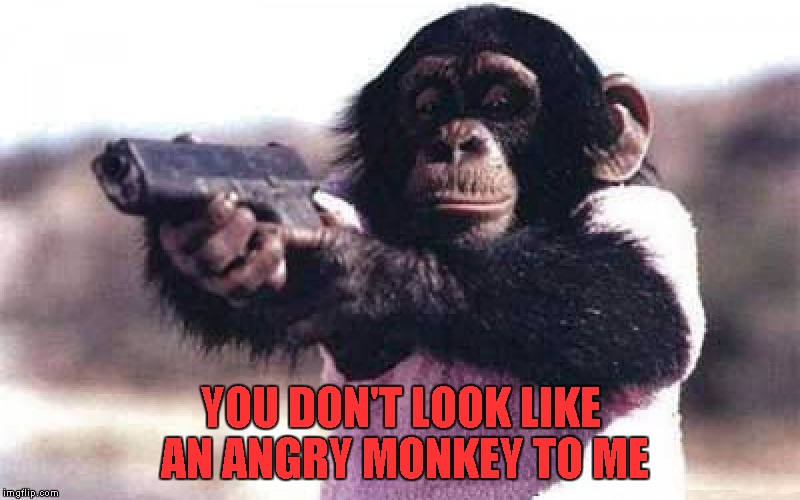 YOU DON'T LOOK LIKE AN ANGRY MONKEY TO ME | made w/ Imgflip meme maker