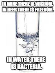 water | IN WINE THERE IS WISDOM, IN BEER THERE IS FREEDOM. IN WATER THERE IS BACTERIA. | image tagged in water | made w/ Imgflip meme maker