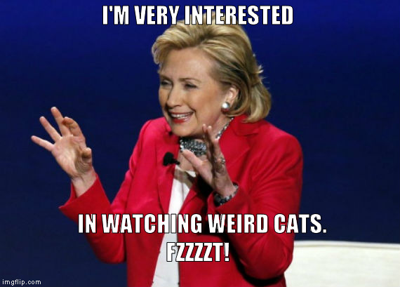 Cat woman | I'M VERY INTERESTED; IN WATCHING WEIRD CATS. FZZZZT! | image tagged in hillary emails | made w/ Imgflip meme maker