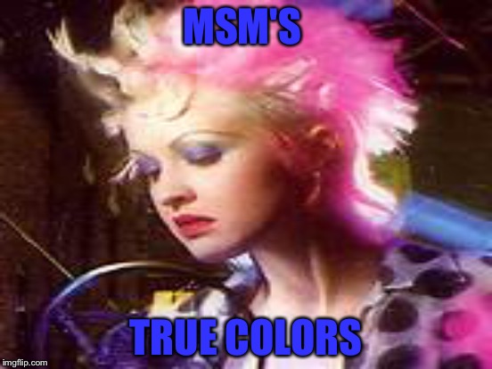 MSM'S TRUE COLORS | made w/ Imgflip meme maker