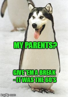 Nobody wants me to play in their penguin games | MY PARENTS? GIVE 'EM A BREAK - IT WAS THE 60'S | image tagged in penguin,dog | made w/ Imgflip meme maker