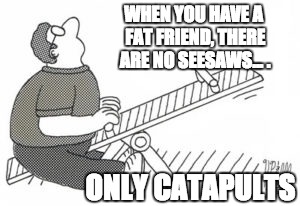 Fat Friends | WHEN YOU HAVE A FAT FRIEND, THERE ARE NO SEESAWS... . ONLY CATAPULTS | image tagged in funny | made w/ Imgflip meme maker
