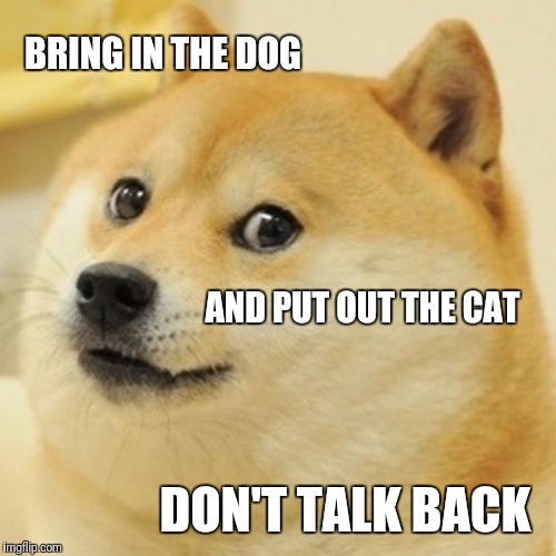 Doge Meme | BRING IN THE DOG DON'T TALK BACK AND PUT OUT THE CAT | image tagged in memes,doge | made w/ Imgflip meme maker