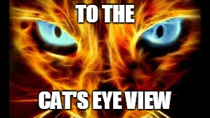 Fire Kitty | TO THE; CAT'S EYE VIEW | image tagged in fire,kitty,fire kitty | made w/ Imgflip meme maker
