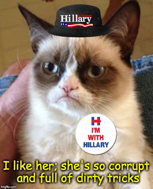 Grumpy Cat | I like her; she's so corrupt and full of dirty tricks | image tagged in memes,grumpy cat | made w/ Imgflip meme maker