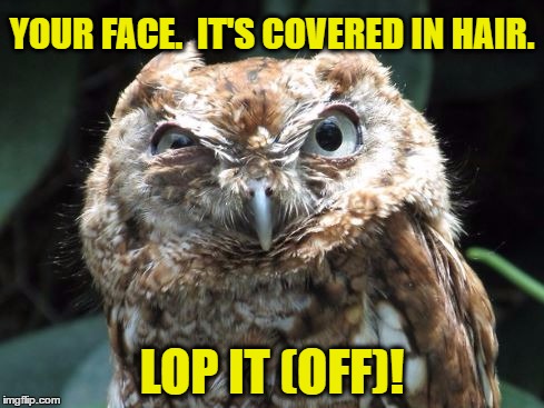 YOUR FACE.  IT'S COVERED IN HAIR. LOP IT (OFF)! | made w/ Imgflip meme maker