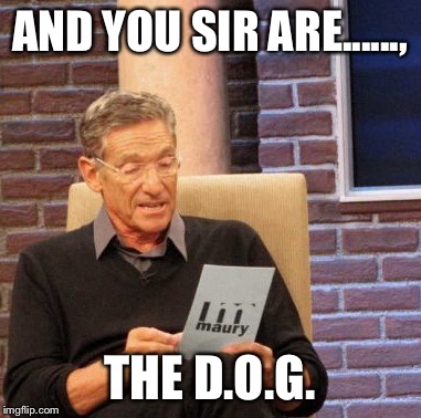 Maury Lie Detector | AND YOU SIR ARE......, THE D.O.G. | image tagged in memes,maury lie detector | made w/ Imgflip meme maker