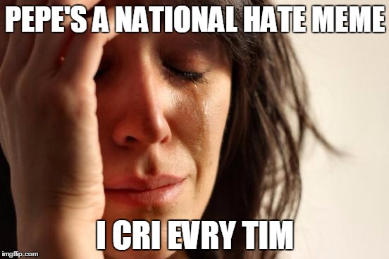 First World Problems Meme | PEPE'S A NATIONAL HATE MEME; I CRI EVRY TIM | image tagged in memes,first world problems | made w/ Imgflip meme maker