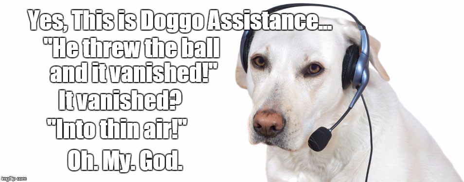 Doggo Assistance. | Yes, This is Doggo Assistance... "He threw the ball and it vanished!"; It vanished? "Into thin air!"; Oh. My. God. | image tagged in dogonphone,funny,memes,dog | made w/ Imgflip meme maker