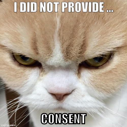 Non-Consensual Cat | I DID NOT PROVIDE ... CONSENT | image tagged in cats,angry cat,politics,political meme,presidential race,president 2016 | made w/ Imgflip meme maker