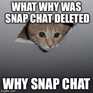 James Bond cat | WHAT WHY WAS SNAP CHAT DELETED; WHY SNAP CHAT | image tagged in james bond cat | made w/ Imgflip meme maker