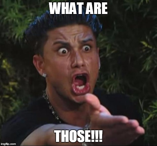 DJ Pauly D Meme | WHAT ARE; THOSE!!! | image tagged in memes,dj pauly d | made w/ Imgflip meme maker
