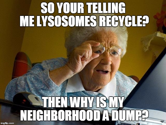 Grandma Finds The Internet Meme | SO YOUR TELLING ME LYSOSOMES RECYCLE? THEN WHY IS MY NEIGHBORHOOD A DUMP? | image tagged in memes,grandma finds the internet | made w/ Imgflip meme maker