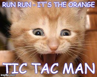 Excited Cat | RUN RUN - IT'S THE ORANGE; TIC TAC MAN | image tagged in memes,excited cat | made w/ Imgflip meme maker