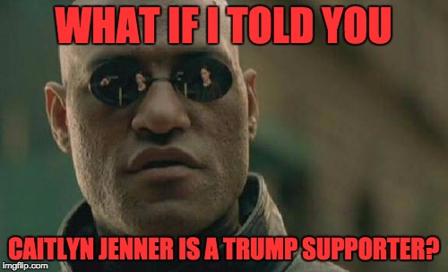 Matrix Morpheus Meme | WHAT IF I TOLD YOU CAITLYN JENNER IS A TRUMP SUPPORTER? | image tagged in memes,matrix morpheus | made w/ Imgflip meme maker