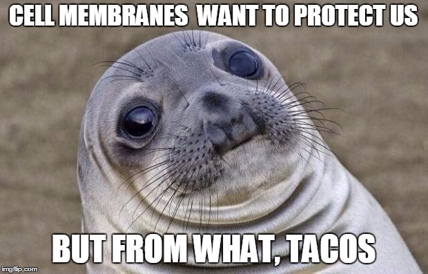 Awkward Moment Sealion | CELL MEMBRANES  WANT TO PROTECT US; BUT FROM WHAT, TACOS | image tagged in memes,awkward moment sealion | made w/ Imgflip meme maker