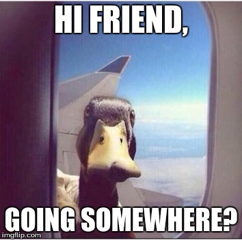 Once again, CourierCommenter has a new meme! Stalking Duck! | HI FRIEND, GOING SOMEWHERE? | image tagged in stalking duck | made w/ Imgflip meme maker