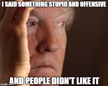 Trump World Problems | I SAID SOMETHING STUPID AND OFFENSIVE; AND PEOPLE DIDN'T LIKE IT | image tagged in trumpworldproblems,trump 2016,donald trump | made w/ Imgflip meme maker