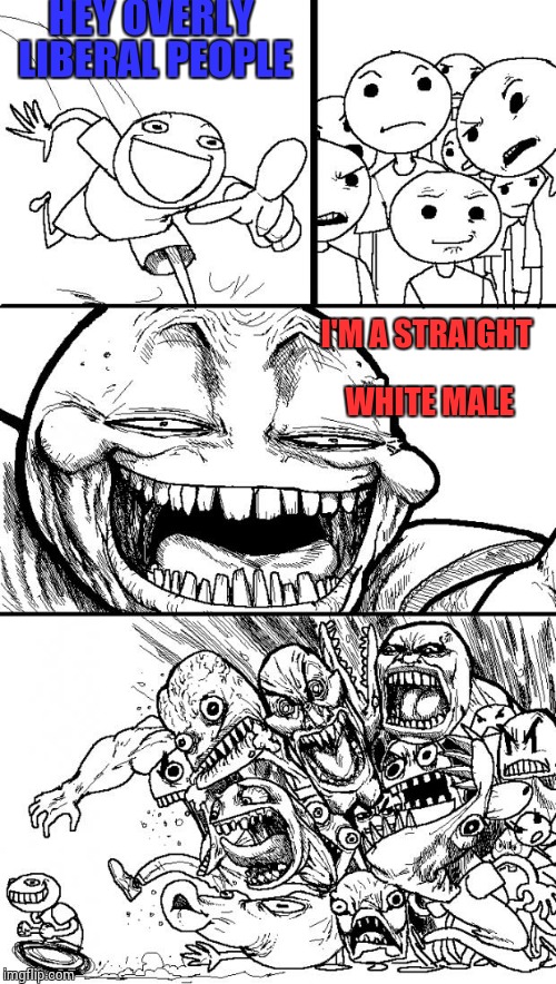 Hey Internet | HEY OVERLY LIBERAL PEOPLE; I'M A STRAIGHT WHITE MALE | image tagged in memes,hey internet | made w/ Imgflip meme maker