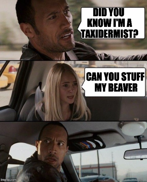The Rock Driving Meme | DID YOU KNOW I'M A TAXIDERMIST? CAN YOU STUFF MY BEAVER | image tagged in memes,the rock driving | made w/ Imgflip meme maker
