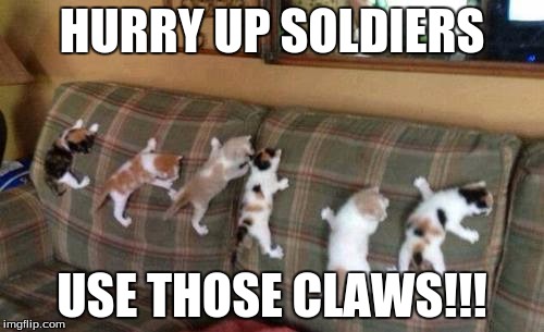 Kittens 1 | HURRY UP SOLDIERS; USE THOSE CLAWS!!! | image tagged in kittens 1 | made w/ Imgflip meme maker
