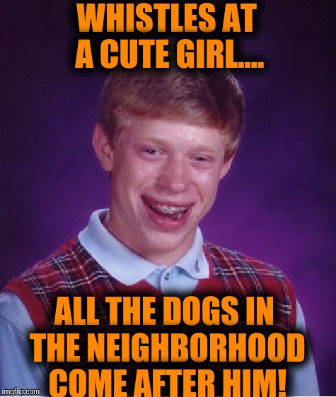 Whistle, honk the horn, you're still considered a creep! | WHISTLES AT A CUTE GIRL.... ALL THE DOGS IN THE NEIGHBORHOOD COME AFTER HIM! | image tagged in memes,bad luck brian | made w/ Imgflip meme maker