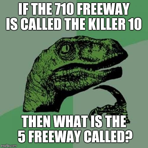 Philosoraptor Meme | IF THE 710 FREEWAY IS CALLED THE KILLER 10; THEN WHAT IS THE 5 FREEWAY CALLED? | image tagged in memes,philosoraptor | made w/ Imgflip meme maker