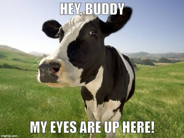 HEY, BUDDY MY EYES ARE UP HERE! | made w/ Imgflip meme maker