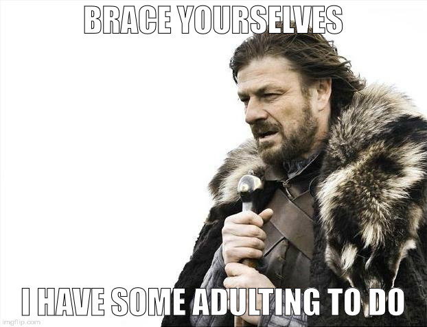 Brace Yourselves X is Coming | BRACE YOURSELVES; I HAVE SOME ADULTING TO DO | image tagged in memes,brace yourselves x is coming | made w/ Imgflip meme maker