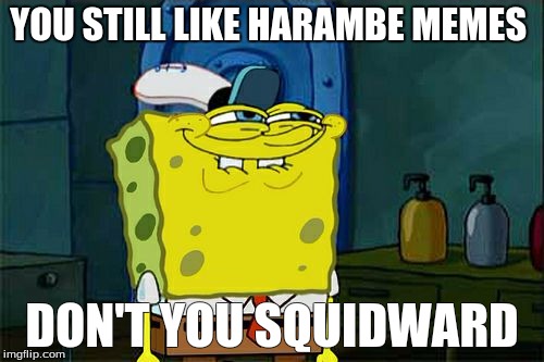 Don't You Squidward | YOU STILL LIKE HARAMBE MEMES; DON'T YOU SQUIDWARD | image tagged in memes,dont you squidward | made w/ Imgflip meme maker