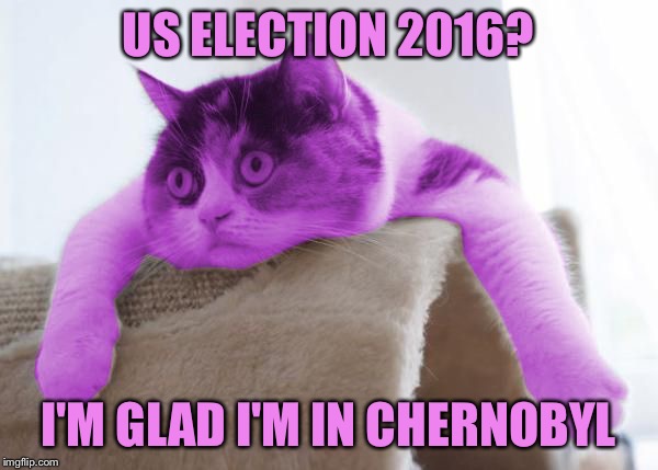RayCat scared | US ELECTION 2016? I'M GLAD I'M IN CHERNOBYL | image tagged in raycat stare,memes | made w/ Imgflip meme maker