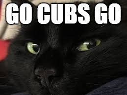 Let me hear you say | GO CUBS GO | image tagged in chicago cubs,baseball,cats,world series,los angeles dodgers | made w/ Imgflip meme maker