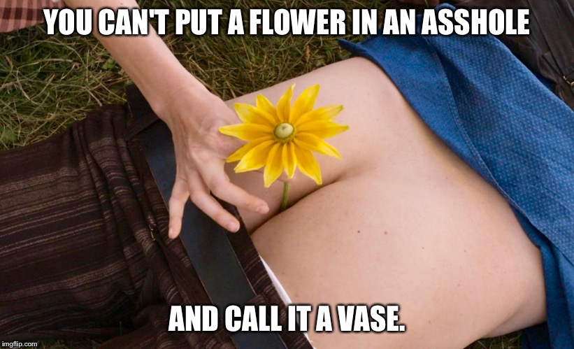 Truer words were never spoken. | YOU CAN'T PUT A FLOWER IN AN ASSHOLE; AND CALL IT A VASE. | image tagged in butt vase,liam neeson,flower | made w/ Imgflip meme maker