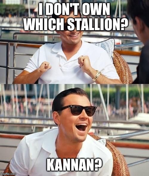 leonardo di caprio | I DON'T OWN WHICH STALLION? KANNAN? | image tagged in leonardo di caprio | made w/ Imgflip meme maker