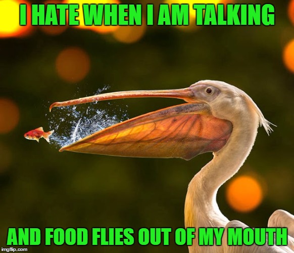 oops | I HATE WHEN I AM TALKING; AND FOOD FLIES OUT OF MY MOUTH | image tagged in food,spitting,manners,funny,funny memes | made w/ Imgflip meme maker