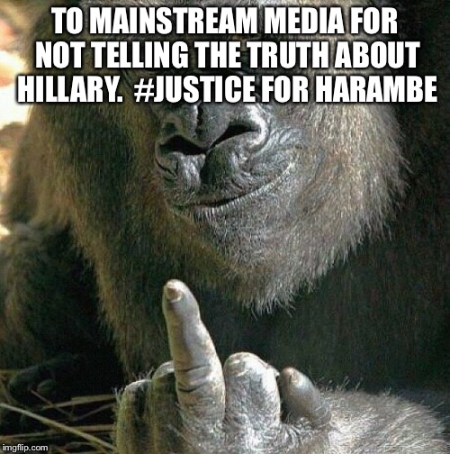 Mainstream media showing its true colors | TO MAINSTREAM MEDIA FOR NOT TELLING THE TRUTH ABOUT HILLARY.  #JUSTICE FOR HARAMBE | image tagged in gorilla | made w/ Imgflip meme maker